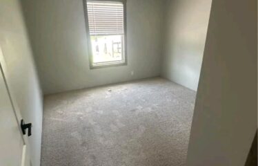 SkyLine Movers 15000